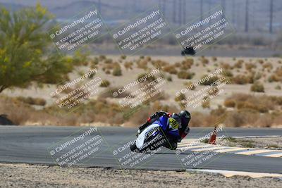 media/Apr-10-2022-SoCal Trackdays (Sun) [[f104b12566]]/Turn 5 Tree of Life (1040am)/